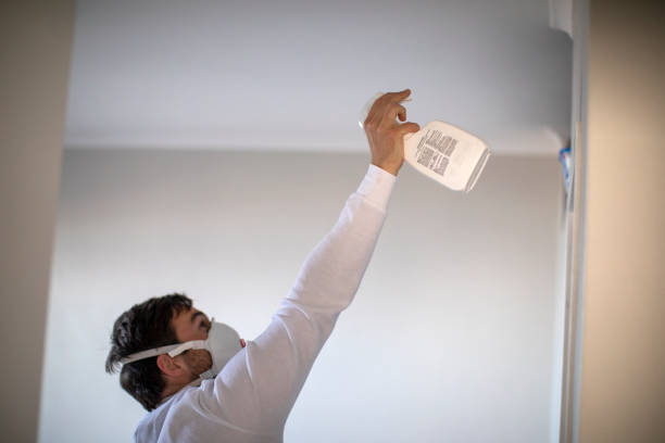 Attic Mold Removal in Chase City, VA