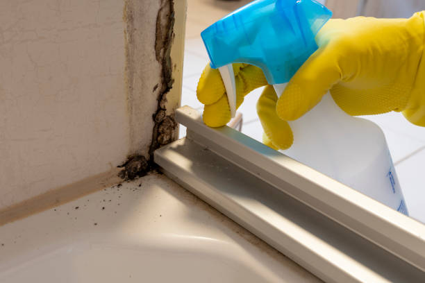Best Mold Cleaning Services  in Chase City, VA