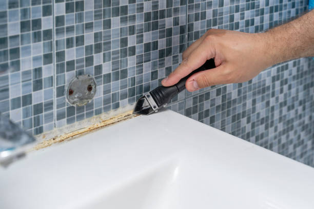 Best Mold Damage Repair  in Chase City, VA